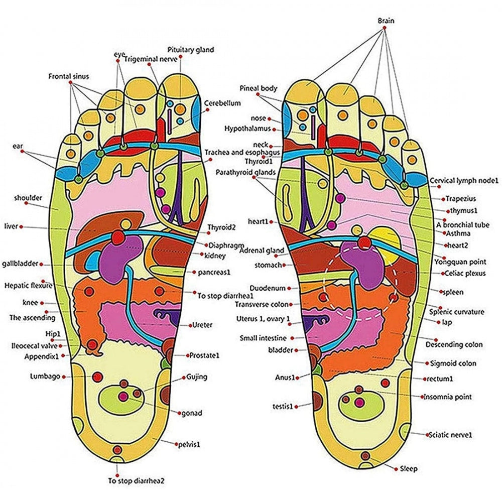 Generic Free Size Spring Acupressure And Magnetic Therapy Accu Paduka Slippers For Full Body Blood Circulation Natural Leg Foot Massager Slippers For Men And Women